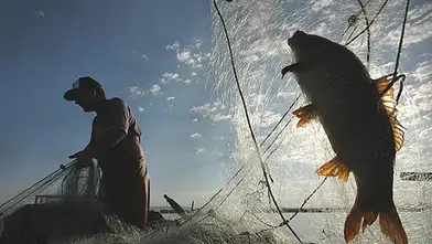 2026 av yasağı başlıyor: Kıyı balıkçılığı serbest mi, hangi türlerde özel yasak var?