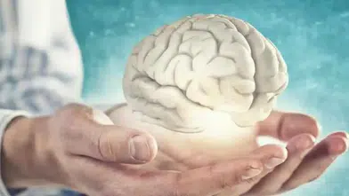 Alzheimer Riskine Karşı Dikkat Çeken Besin: Düzenli Tüketimi Hafızayı Destekleyor!