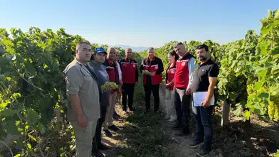 Müdür Karayılan bağcıların merakla beklediği çalışmayı yerinde inceledi