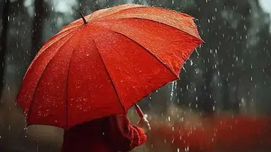 Meteoroloji’den 2 İl İçin Kuvvetli Yağış Uyarısı: 16 Temmuz’da Hava Nasıl Olacak?