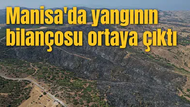 Manisa'da yangının bilançosu ortaya çıktı