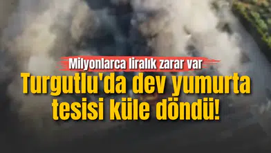 Turgutlu'da dev yumurta tesisi küle döndü! Milyonlarca liralık zarar var