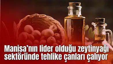 Manisa’nın lider olduğu zeytinyağı sektöründe tehlike çanları çalıyor