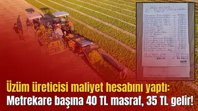 Üzüm üreticisi maliyet hesabını yaptı: Metrekare başına 40 TL masraf, 35 TL gelir