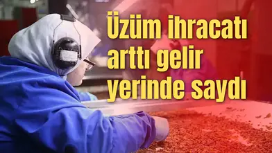 Üzüm ihracatı arttı gelir yerinde saydı