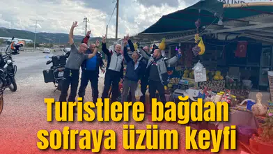 Turistlere bağdan sofraya üzüm keyfi