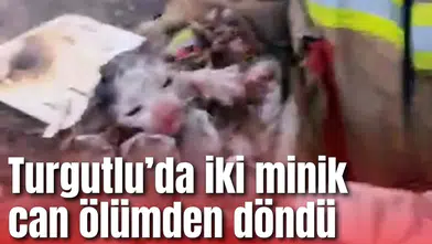 Turgutlu’da iki minik can ölümden döndü