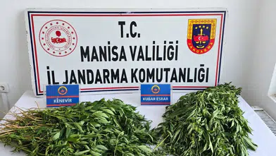 Manisa’da uyuşturucuya darbe: Kenevir ve binlerce hap ele geçirildi