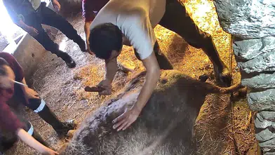 Doğum yapmakta zorlandığı için ekmek bıçağı ile ameliyat edilip sezaryen yapıldı!