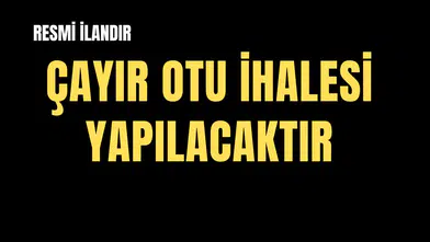 AKHİSAR HAVA MEYDAN KOMUTANLIĞI ARAZİSİNDE BULUNAN TAHMİNİ 470.000 KG. ÇAYIR OTU (BİÇİLMEMİŞ DURUMDA) SATIŞI HAVA KUVVETLERİ KOMUTANLIĞI HAVA MEYDAN KOMUTANLIĞI-AKHİSAR