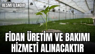FİDAN ÜRETİM VE BAKIMI HİZMETİ ALINACAKTIR