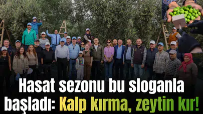 Hasat sezonu bu sloganla başladı: Kalp kırma, zeytin kır!