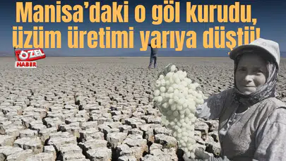 Manisa’daki o göl kurudu, üzüm üretimi yarıya düştü!