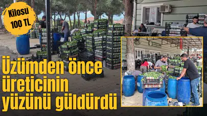 Üzümden önce üreticinin yüzünü güldürdü