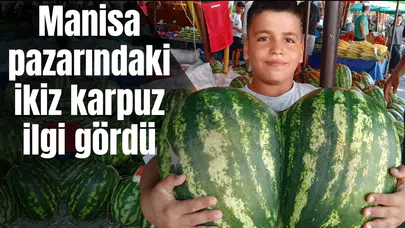 Manisa pazarındaki ikiz karpuz ilgi gördü