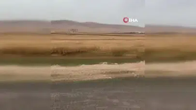 Mardin'de facia: 4'ü çocuk 6 ölü