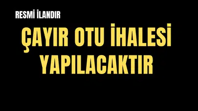 AKHİSAR HAVA MEYDAN KOMUTANLIĞI ARAZİSİNDE BULUNAN TAHMİNİ 470.000 KG. ÇAYIR OTU (BİÇİLMEMİŞ DURUMDA) SATIŞI HAVA KUVVETLERİ KOMUTANLIĞI HAVA MEYDAN KOMUTANLIĞI-AKHİSAR