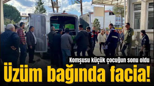 Üzüm bağında facia! Komşusu küçük çocuğun sonu oldu
