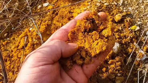 Devasa altın yatağı bulundu! Tarihi keşfin yapıldığı il açıklandı