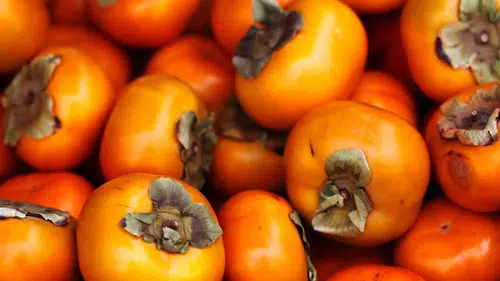 Kış aylarının mucizesi Cennet Hurmasının bilinmeyen faydaları sıralandı