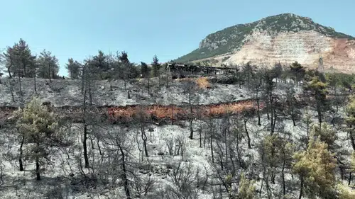 Yeşili ile ünlü olan ilçenin son hali bölge halini yasa boğdu