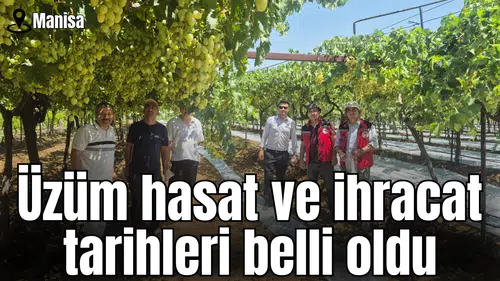 Manisa'da üzüm hasat ve ihracat tarihleri belli oldu