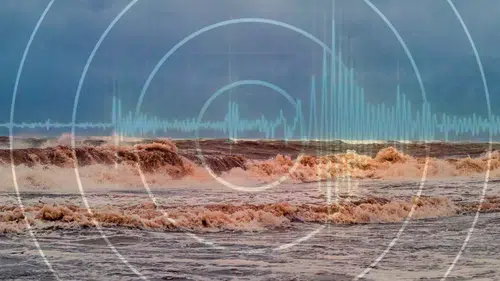 Dev tsunami dalgası büyük hızla ilerlemeye devam ediyor