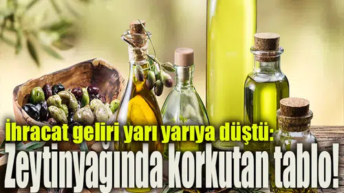 İhracat geliri yarı yarıya düştü: Zeytinyağında korkutan tablo!