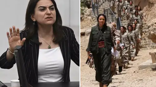 DEM Parti sürecin isminden rahatsız