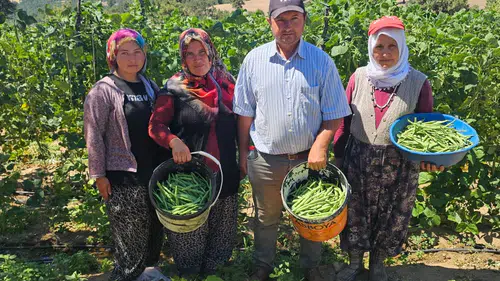 Manisalı çiftçi şifayı toprakta buldu!