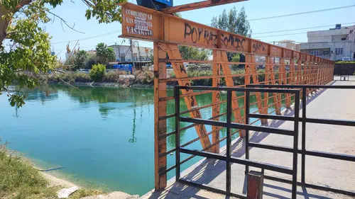 Suya düşen telefonunun ardından atladı canından oldu!
