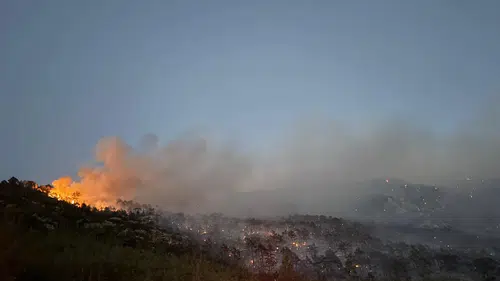 Korkutan orman yangını kontrol altına alındı