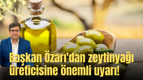 Başkan Özarı'dan zeytinyağı üreticisine önemli uyarı!