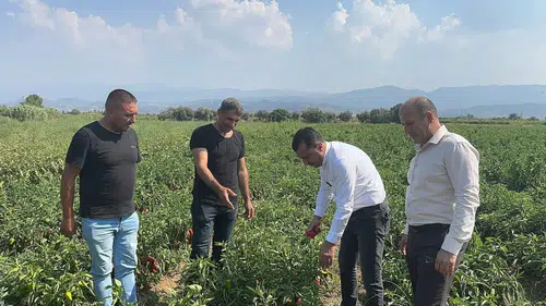 Başevirgen, üreticileri ziyaret etti: Bu düzen çiftçiyi bitirir