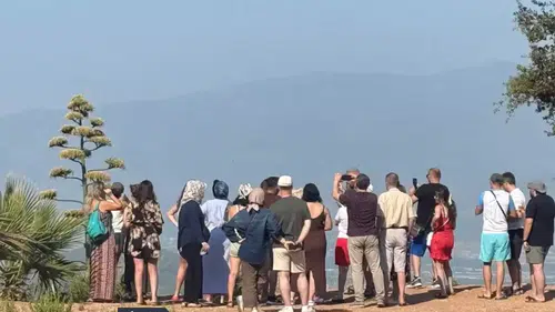 Görüntü Türkiye'den! 30 yıl sonra bir ilk yaşandı, görmek için akın ettiler