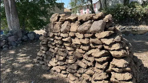 Kışa hazırlık için tezek mesaisi başladı