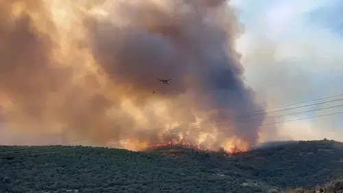 Orman yangınıyla mücadele son sürat devam ediyor