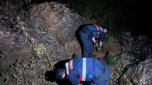 Manisa'da jandarmadan Hint keneviri avı