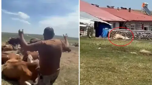 Bir ilimizde durum vahim! "Nerede bu yetkililer?" diyerek isyan etti: Allah sen yardım et