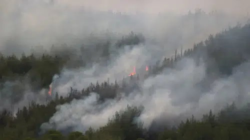 Çanakkale küle dönüyor