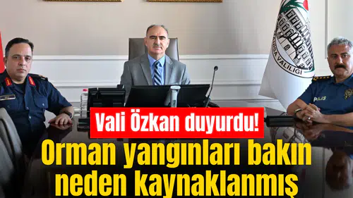 Vali Özkan: Orman yangınlarının çoğu insan kaynaklı