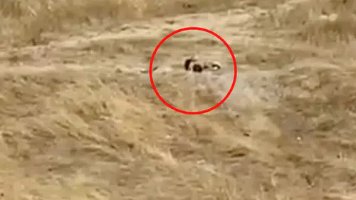 Uygunsuz hareketler sergileyen iki genç gözaltına alındı