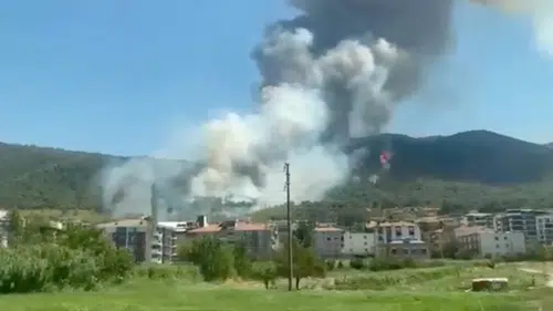 Soma'da orman yangını