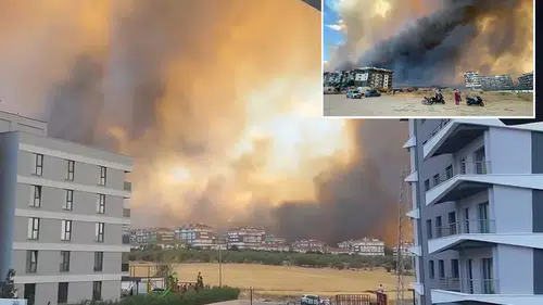 Çanakkale'de orman yangını! Alevler hastaneye yaklaştı