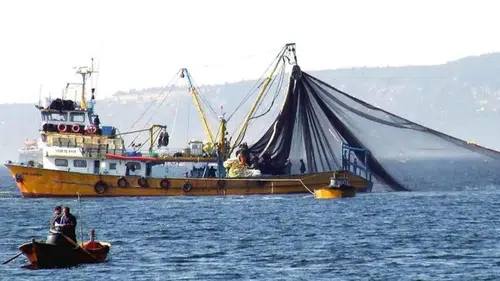 Balık Sezonu Ne Zaman Açılacak? İşte 2025-2026 Av Takvimi