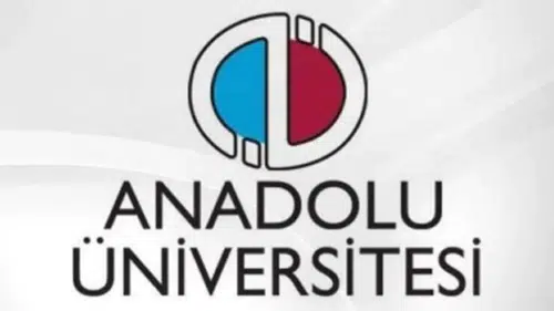 AÖF yaz okulu sınav sonuçları ne zaman açıklanacak?