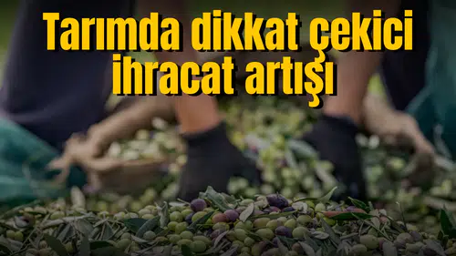 Tarımda dikkat çekici ihracat artışı