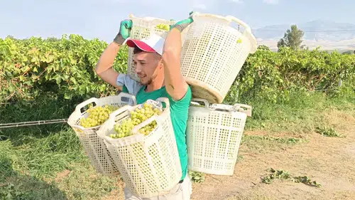 Çalışma azmiyle atom karıncaları aratmadı