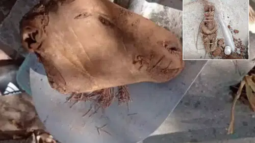 Mezarcının kazdığı her yerden büyü çıktı!