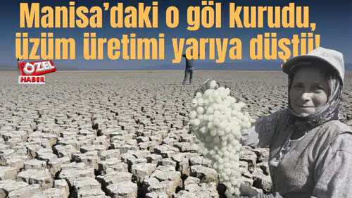 Manisa’daki o göl kurudu, üzüm üretimi yarıya düştü!